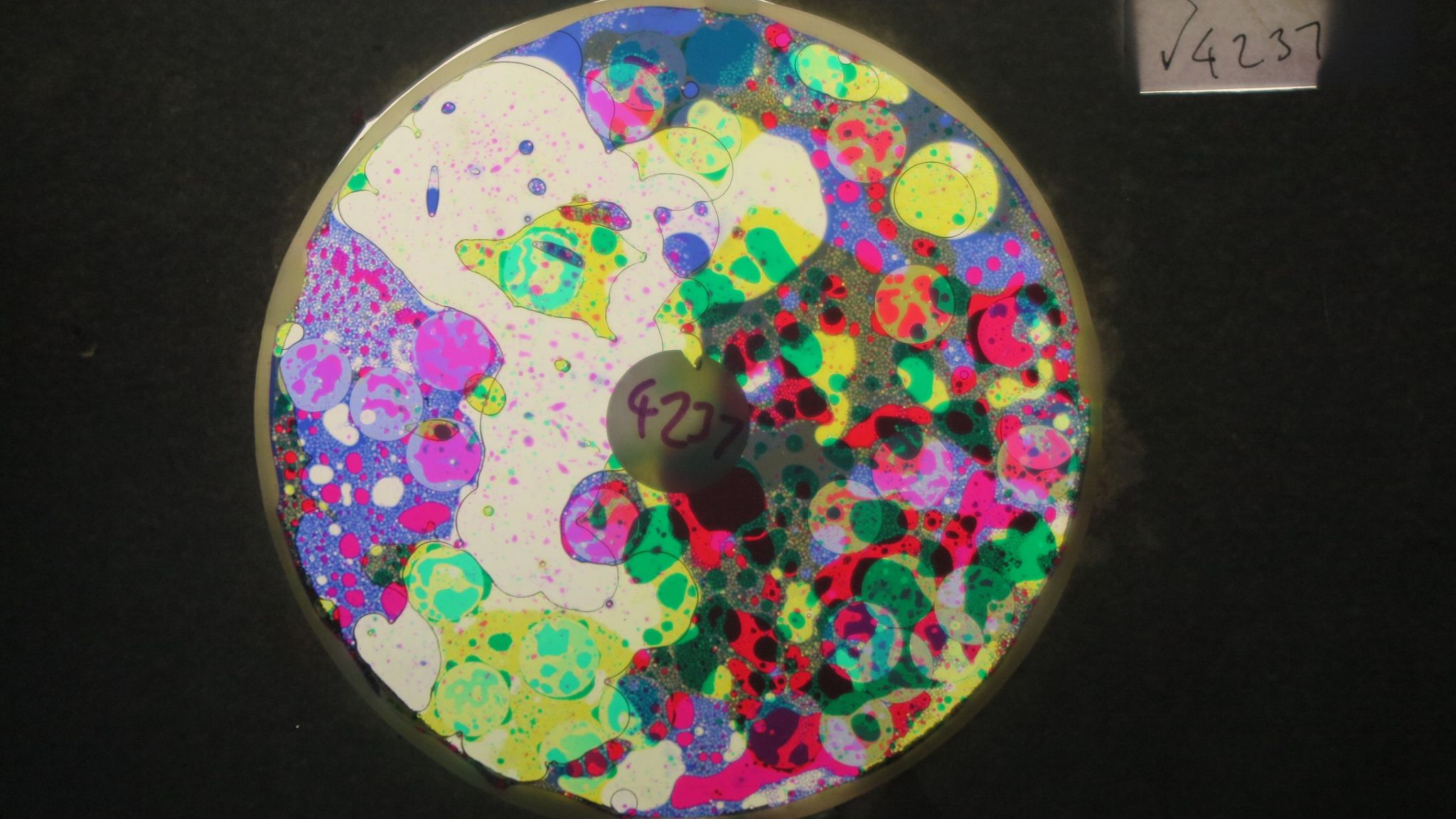 BV4237 bubble vision oil wheel